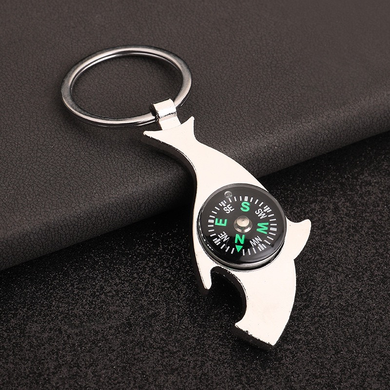 Einzigartiger nautischer Kompa – Compass Keychain Mini Bewertung und Preis